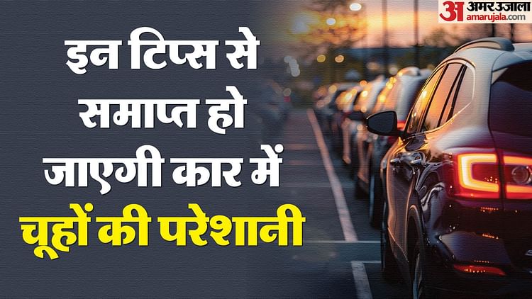care-care-tips:-बरसात-के-दौरान-कार-में-घुस-जाते-हैं-चूहें,-तो-परेशानी-दूर-करने-में-काम-आएंगे-ये-चार-प्वाइंट्स