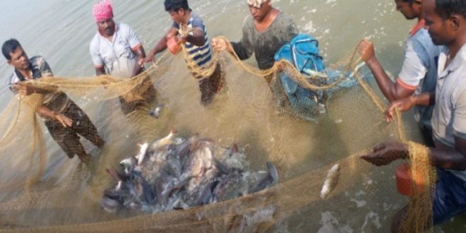 seafood:मछली-पालन-में-निर्यात-कैसे-बढ़े-विशेषज्ञ-करेंगे-मंथन