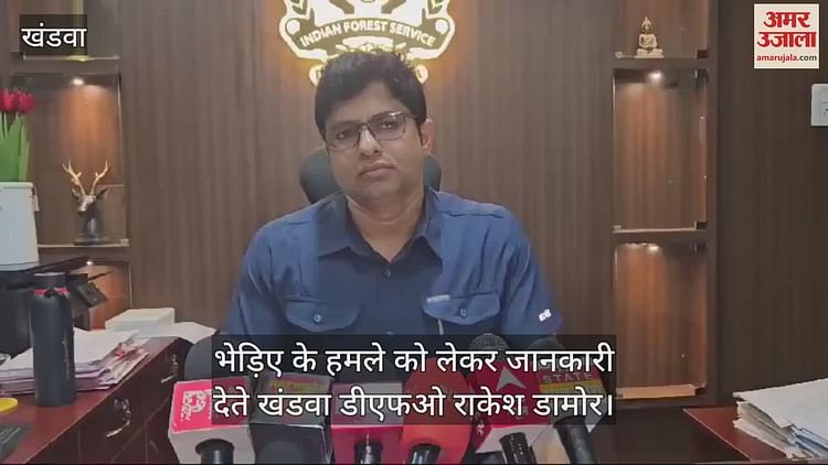khandwa-news:-खंडवा-के-मलगांव-में-भेड़िए-का-आतंक,-सो-रहे-पांच-लोगों-पर-किया-हमला,-जांच-में-जुटा-वन-विभाग