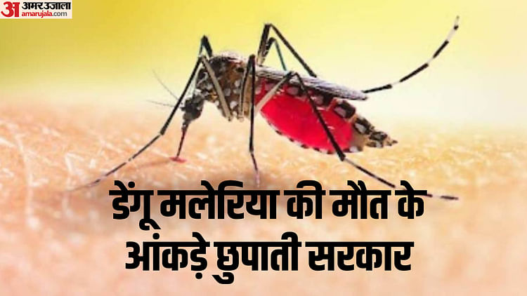 indore-news:-डेंगू-मलेरिया-की-मौतें-कैसे-छुपाती-है-सरकार,-रोज-सैकड़ों-मरीज,-रिकॉर्ड-में-गायब