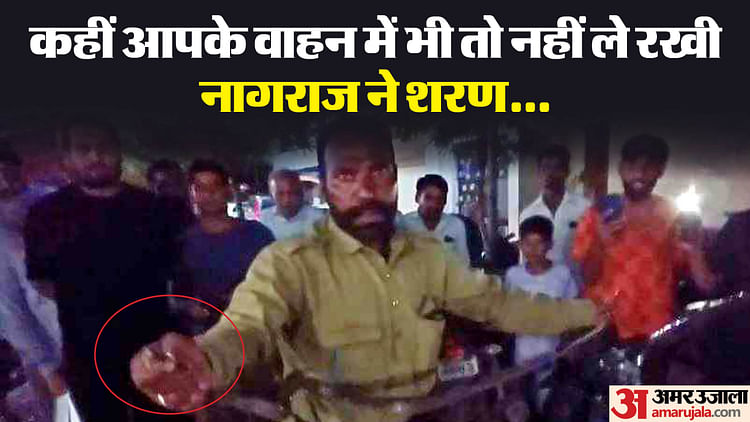 mp-news:-बारिश-के-मौसम-में-जरा-संभलकर,-बाइक-में-छिपे-पांच-फीट-लंबे-सांप-को-वन-विभाग-कर्मी-ने-किया-रेस्क्यू