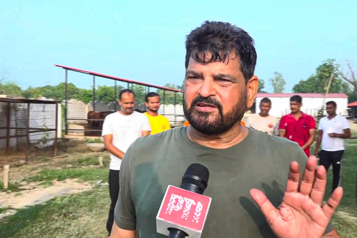 haryana-election-2024:-बीजेपी-का-निर्देश,-विनेश-और-बजरंग-पर-कोई-बयान-न-दें-बृजभूषण-सिंह