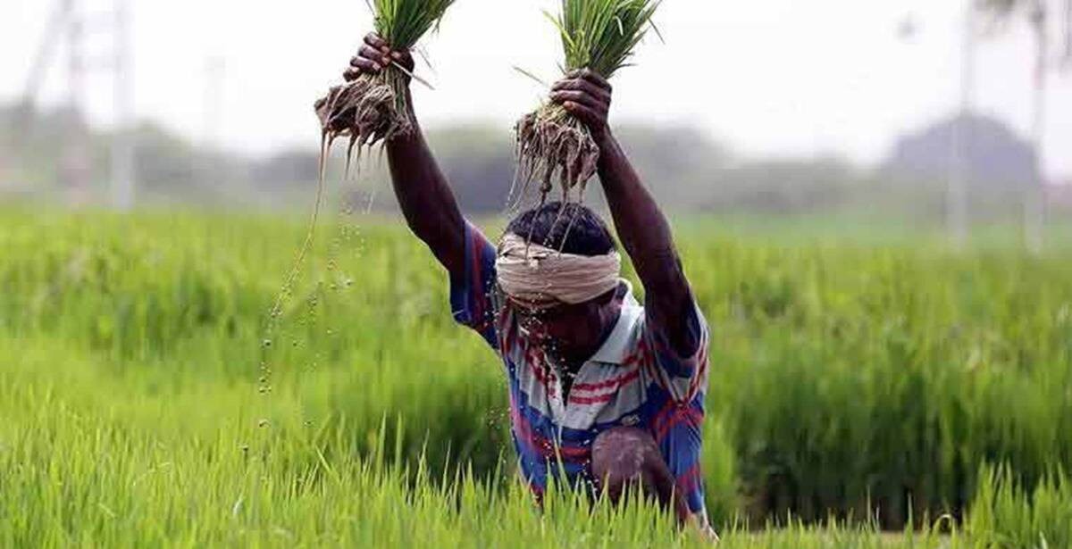 agriculture:मानधन-योजना-के-मामले-में-बिहार-है-सबसे-आगे