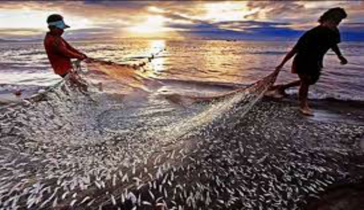 fisheries:-प्रधानमंत्री-मत्स्य-किसान-समृद्धि-सह-योजना