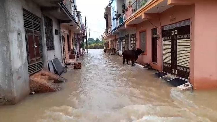 shivpuri-news:-भारी-बारिश-से-नमो-नगर-सहित-कई-कॉलोनियों-में-भरा-पानी,-शहर-की-निचली-बस्तियां-जलमग्न