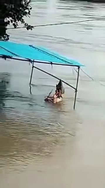 damoh-news:-घाट-पर-बना-था-गणेश-प्रतिमा-का-पंडाल,-जलस्तर-बढ़ा-और-हो-गया-प्रतिमा-का-विसर्जन,-वीडियो-आया-सामने